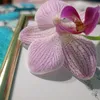 luna_moonlake