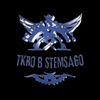 TKR B STEMSAGO 28