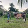 afiqdanial6762
