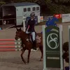 sportpony_mini