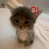 za._nhuw_.0