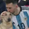 bababoil10