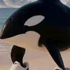 orcalero_orcala2