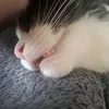 maisy666666538376363553