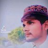 shaban83084