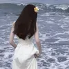_zvoz1