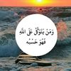 user24781021