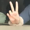 thehansalulovers