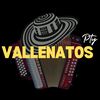 Vallenato.pty