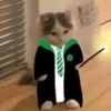 slytherin4034