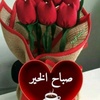 najat.shashe