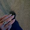 6lli_83