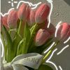 janasobhy55