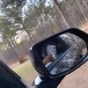 prettyluhthing29
