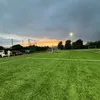 mroll11