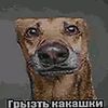 pidoraz_zaglot_yeban