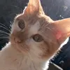 _matheu_1