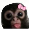 mariap_1277