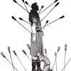 ackerman9976