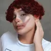 silvazszq