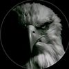 3reebi_king