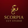 Scorpio Cut Studio