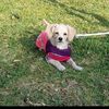 chinita.bella11