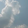 habiba.khaled761
