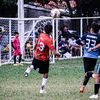 guillen_210