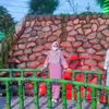 _pooke_mithila_