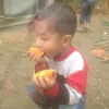 nguyenthaianh010