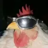 mama_mo_chicken1