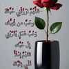 user231ferah