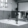 bachiraeldemente