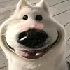 b.n.my.ko