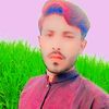 gulam.fareed472
