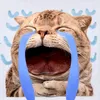 kudo.biet.ngu