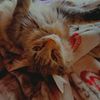 andreea.giorgiana59