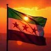 mohammad.alkhalil81