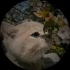 vigy_vigy22