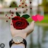 cemen.caryyewa3