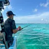 lubin_carspott