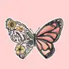 cbutterfly1111