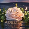 adelina.adela13
