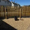 berniceobbsgardening