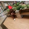 jamile87230