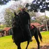 luciano.peres50