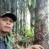 leo039181