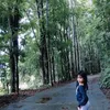 lianjoy_mol