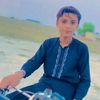 m.shaheer8630